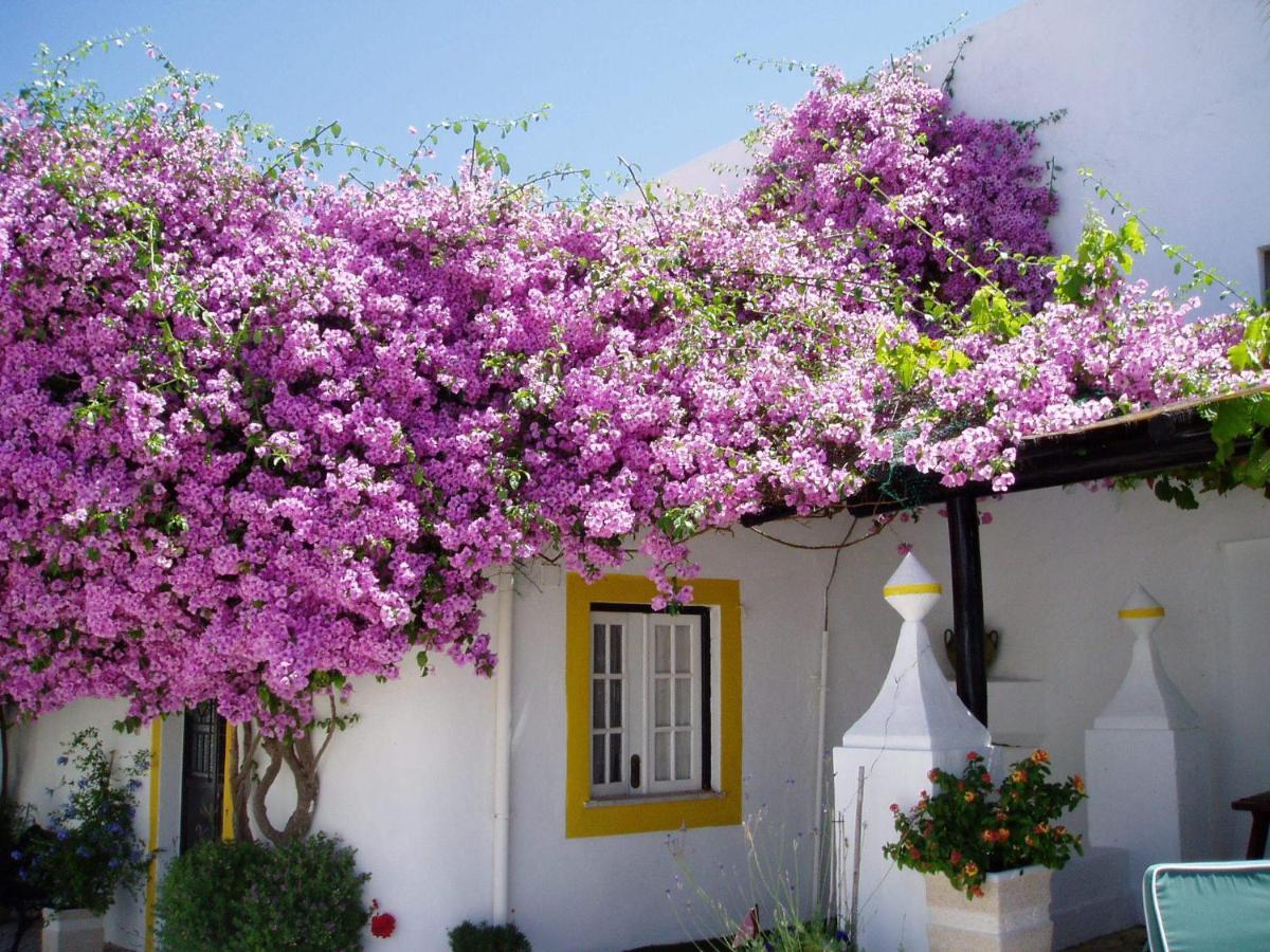 Rio Arade Algarve Manor House Hotel Estômbar Buitenkant foto