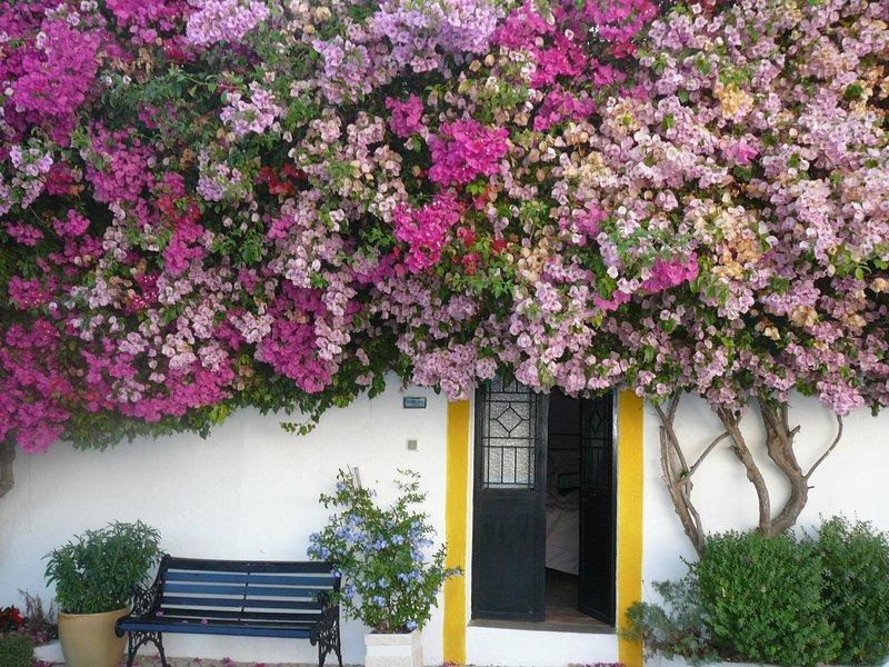 Rio Arade Algarve Manor House Hotel Estômbar Buitenkant foto